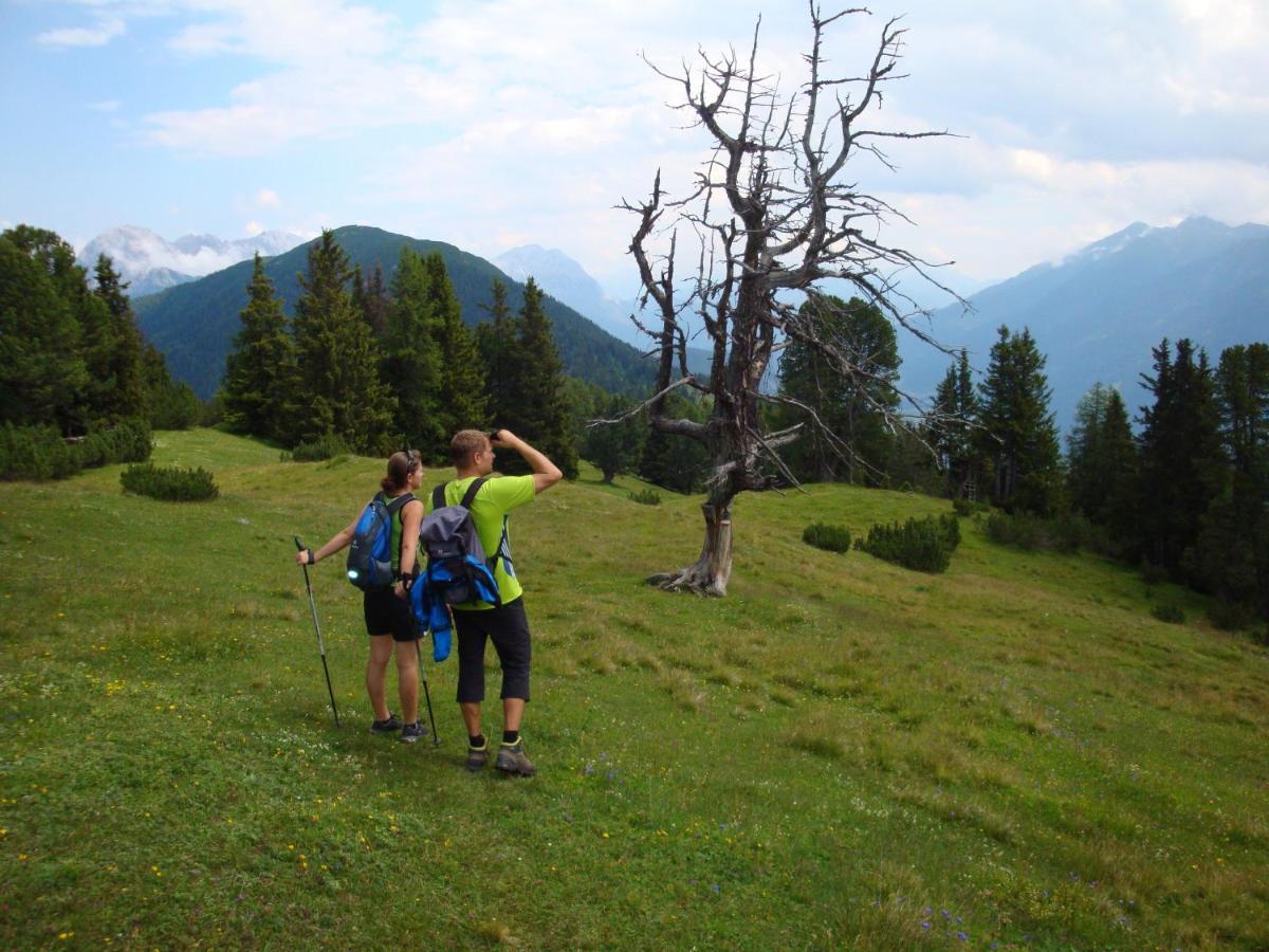 Activ-Family-Apart-Wisiol-Pitztal Sommercard Inklusive Jerzens Exteriér fotografie